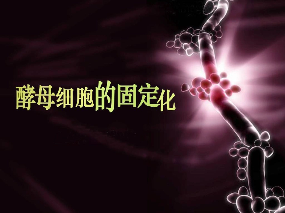 选修一：酵母细胞的固定化.ppt_第1页