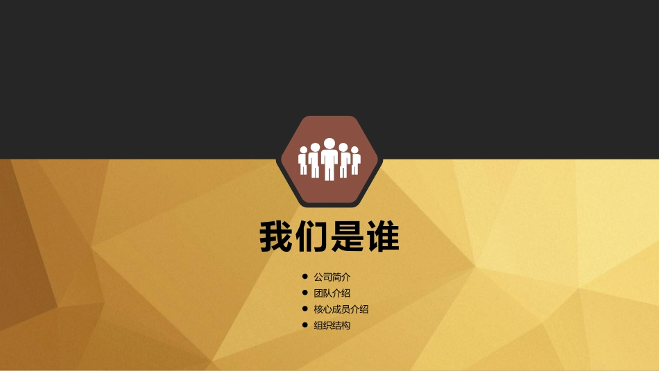 金融投资公司介绍通用投资公司PPT模板 (1).pptx_第3页