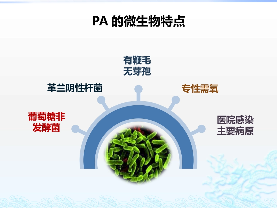 铜绿假单胞菌诊治方法1.pptx_第3页