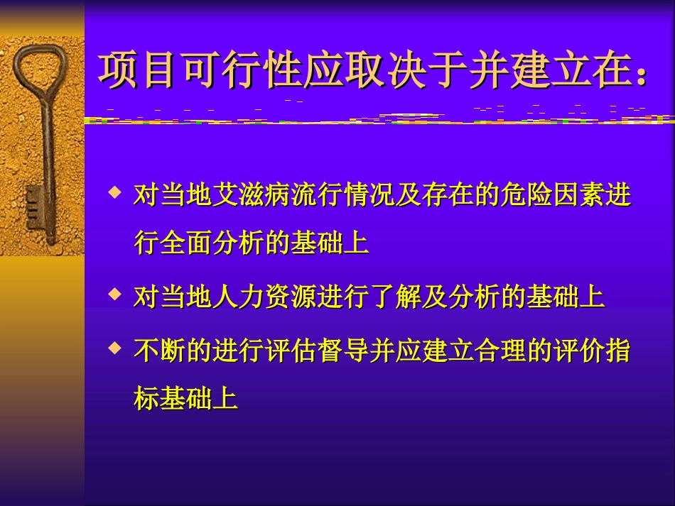 项目可行性分析——艾滋病控制项目在中国的实践.ppt_第2页