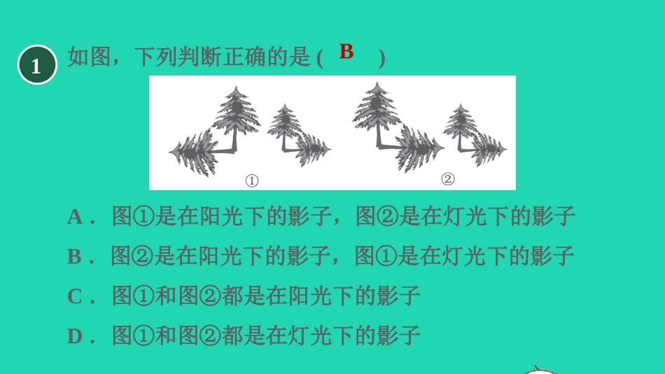 2021秋九年级数学上册第五章投影与视图1投影5.1.2目标二平行投影中心投影正投影的五种常见应用习题课件新版北师大版20210915125.pptx_第3页