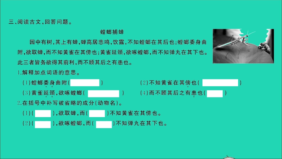 小考语文满分特训第一部分专题复习第六章阅读专题综合训练十七课件.ppt_第3页