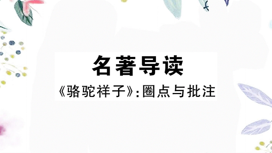 2023学年春七年级语文下册第三单元名著导读习题课件（人教版）2.pptx_第1页