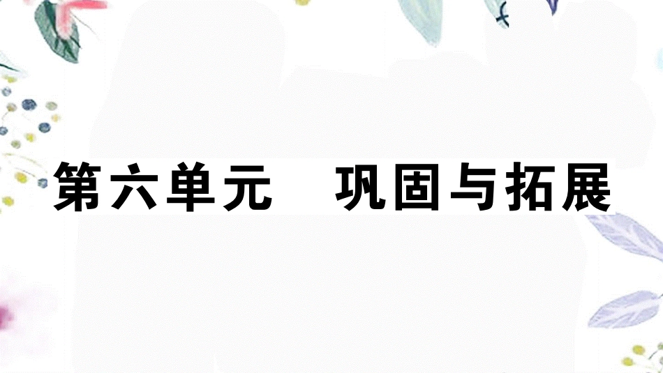 河南专版2023学年秋九年级语文上册第六单元巩固与拓展作业课件（人教版）2.pptx_第1页