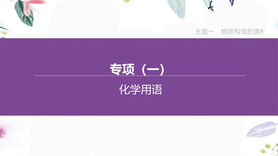 福建专版2023学年中考化学复习方案主题一物质构成的奥秘专项01化学用语课件2.pptx_第1页