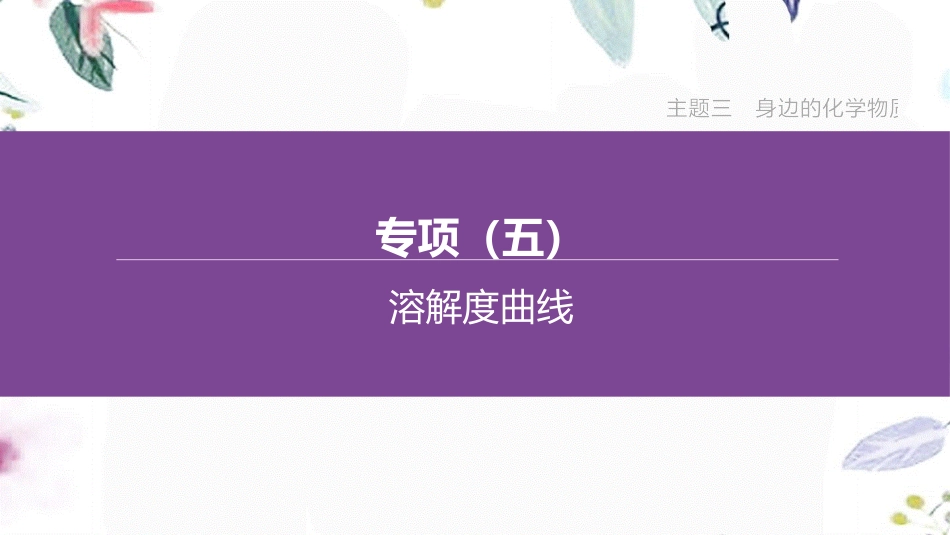 福建专版2023学年中考化学复习方案主题三身边的化学物质专项05溶解度曲线课件2.pptx_第1页
