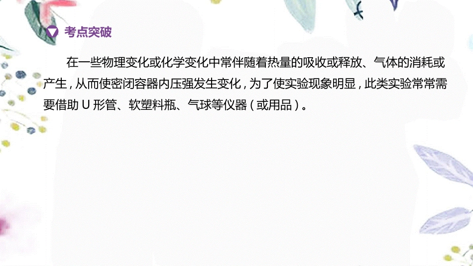 福建专版2023学年中考化学复习方案主题三身边的化学物质专项08有关密闭容器中的气压变化课件2.pptx_第2页