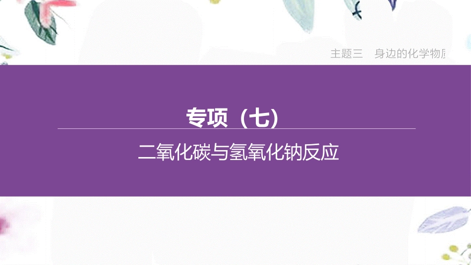 福建专版2023学年中考化学复习方案主题三身边的化学物质专项07二氧化碳与氢氧化钠反应课件2.pptx_第1页