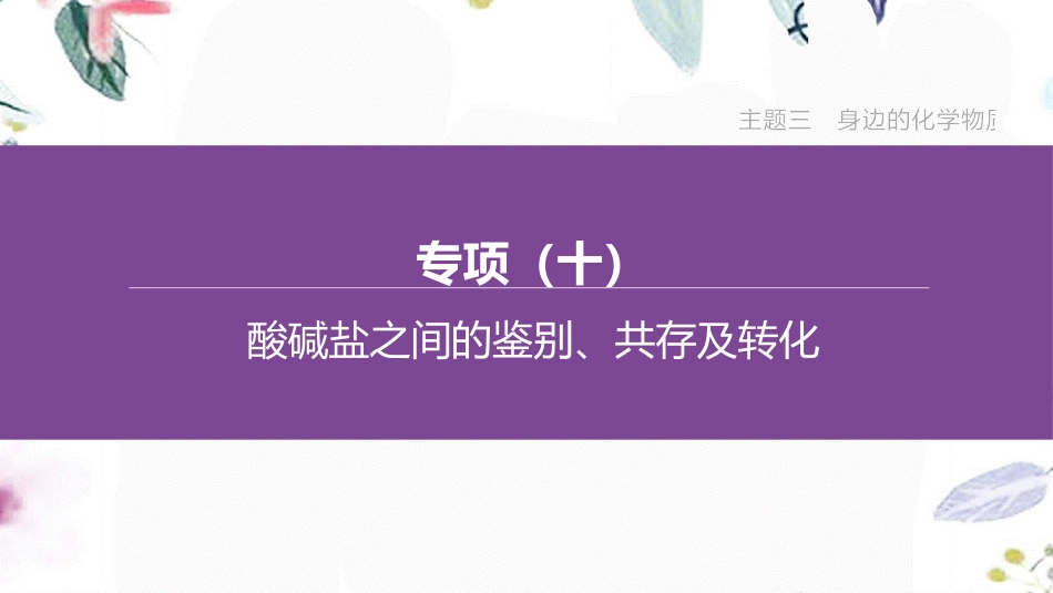 福建专版2023学年中考化学复习方案主题三身边的化学物质专项10酸碱盐之间的鉴别共存及转化课件2.pptx_第1页