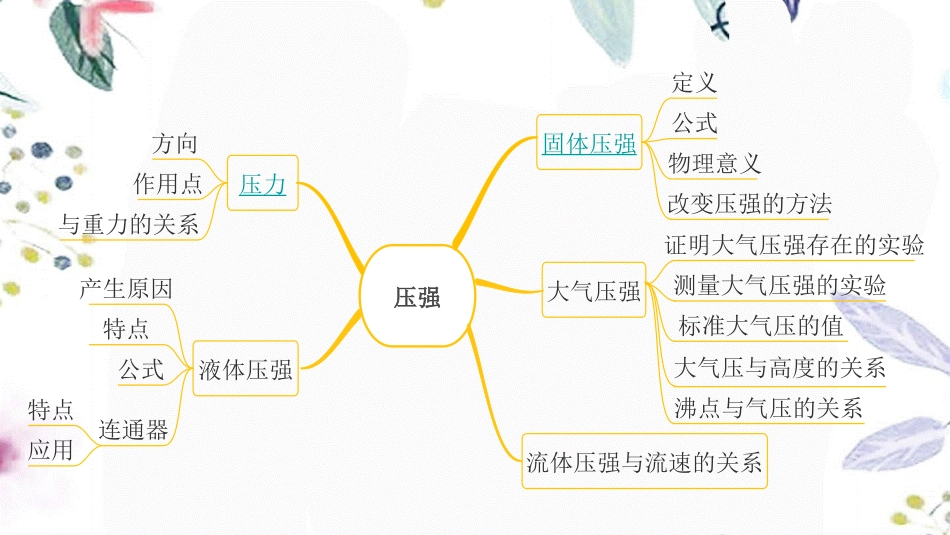 陕西省2023学年年中考物理一轮复习基醇点一遍过第十章压强和浮力命题点1压力压强课件2.pptx_第2页