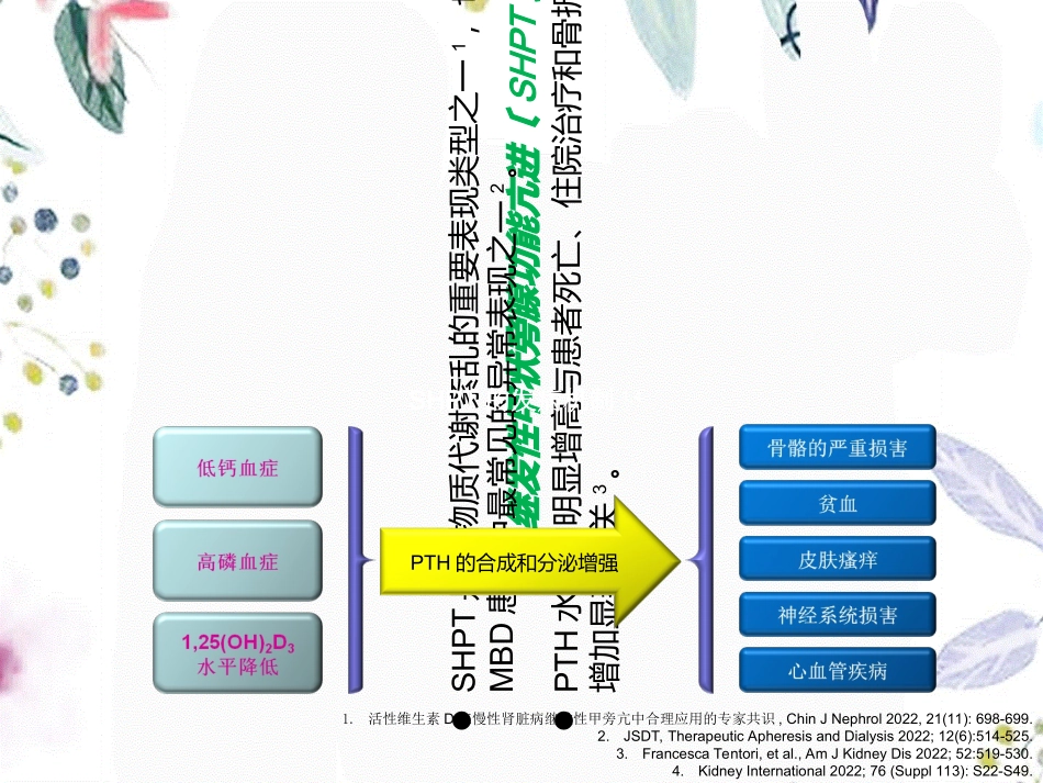2023年CKDMBD治疗国际共识与指南解读张凌（教学课件）.ppt_第3页
