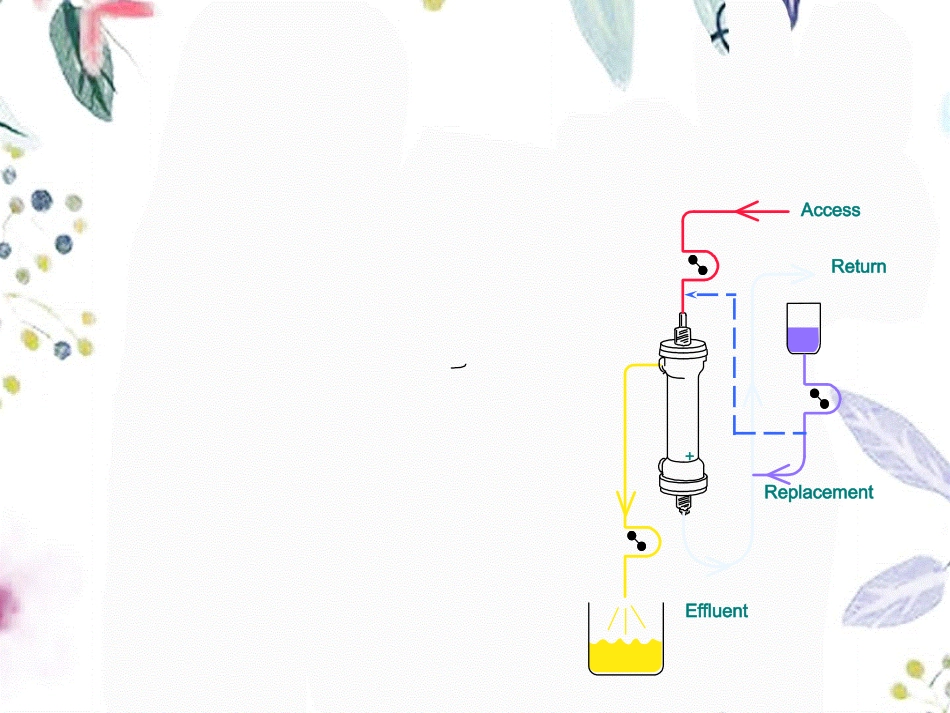 2023年CRRT超滤量与疗效评估（教学课件）.ppt_第2页
