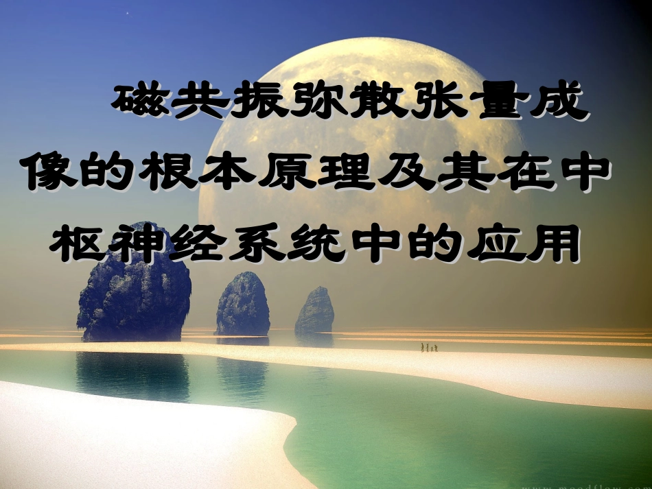 2023年DTI的基本原理及其在中枢神经系统中的应用（教学课件）.ppt_第1页