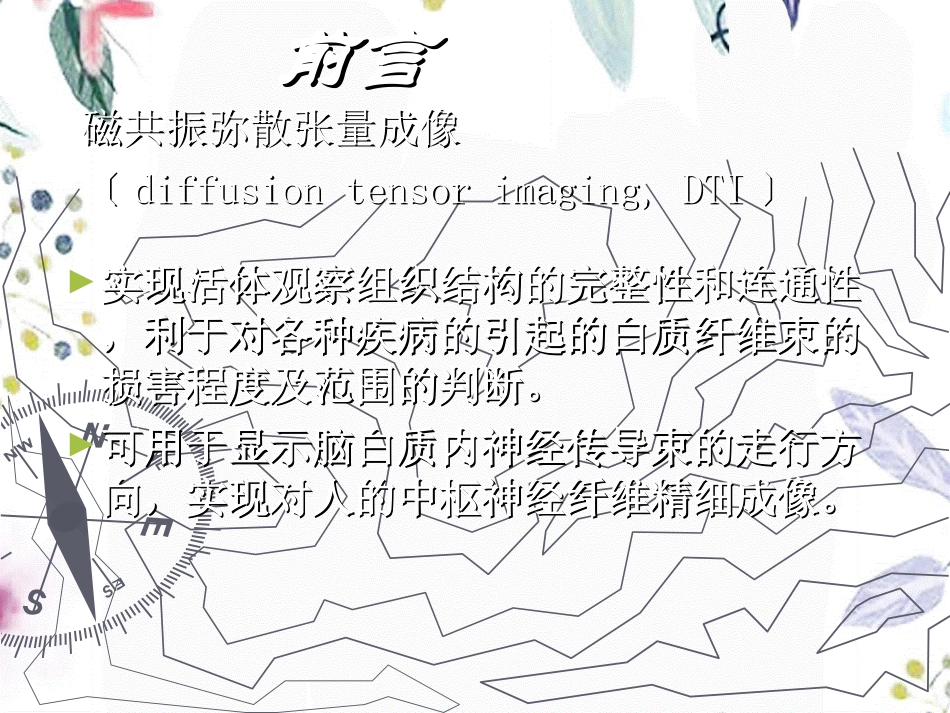 2023年DTI的基本原理及其在中枢神经系统中的应用（教学课件）.ppt_第2页