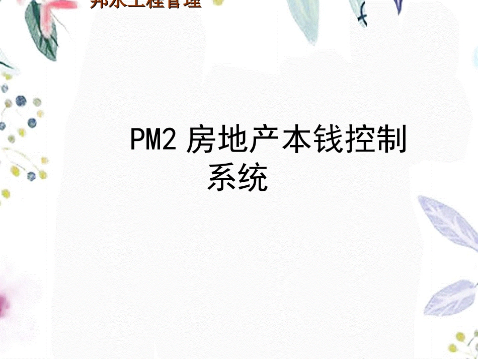 2023年PM房地产成本控制系统（教学课件）.ppt_第2页