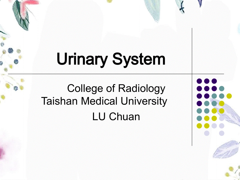 2023年Urinary System Renal cell carcinoma（教学课件）.ppt_第1页