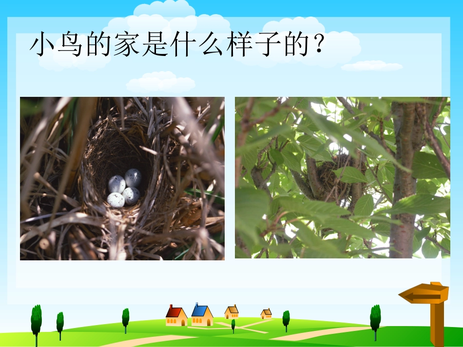 （人教新课标）二年级美术下册课件小鸟的家1PPT课件.ppt_第3页