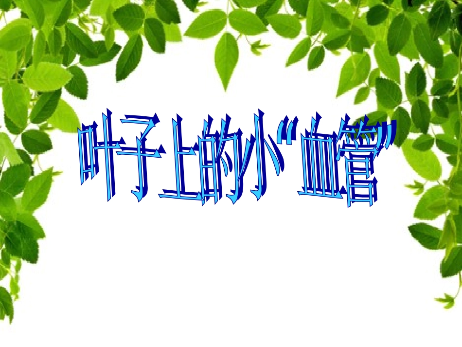 （人教新课标）二年级美术下册课件叶子上的小血管3PPT课件.ppt_第1页