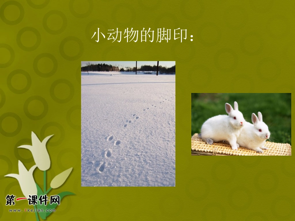 （人教新课标）二年级美术下册课件奇妙的脚印3PPT课件.ppt_第3页