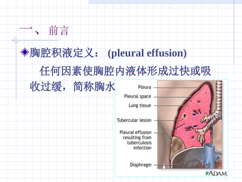 胸腔积液夏晓东-2010-2016.9.ppt_第3页