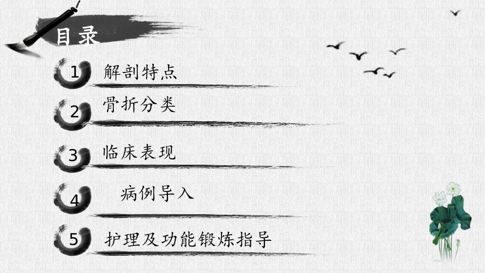 胸腰椎压缩性骨折2PPT.ppt_第3页