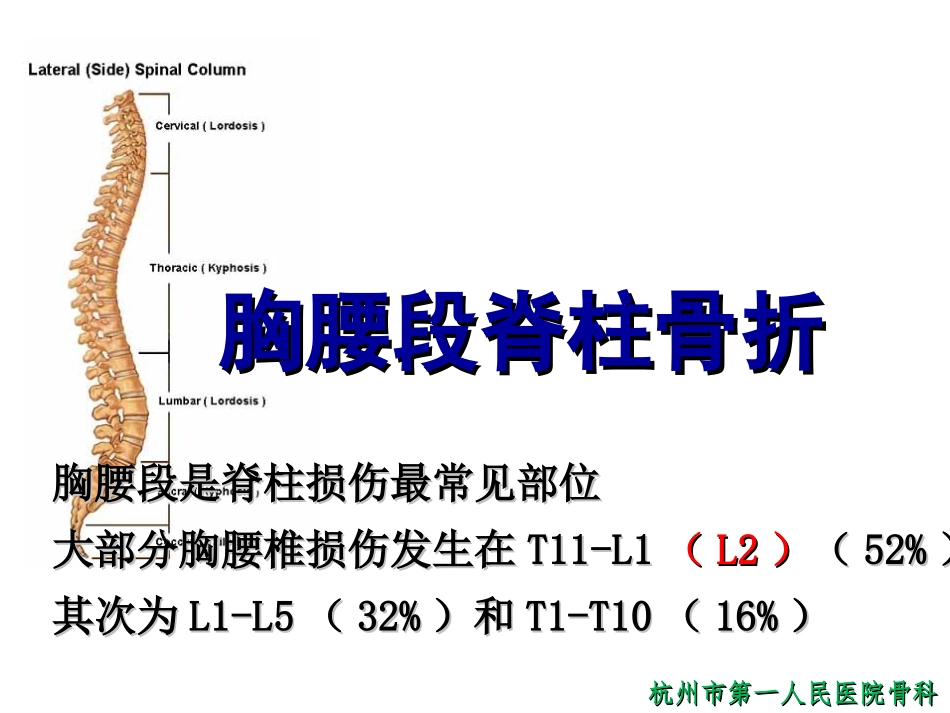 胸腰段脊柱骨折.ppt_第2页