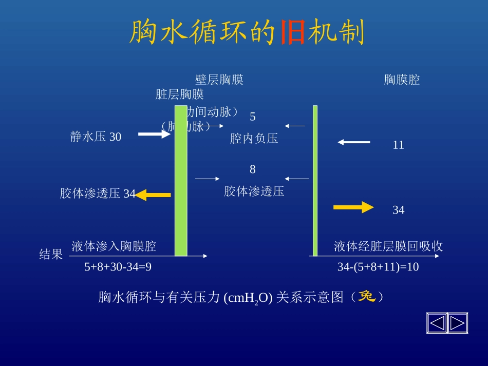 胸腔积液第六版.ppt_第3页
