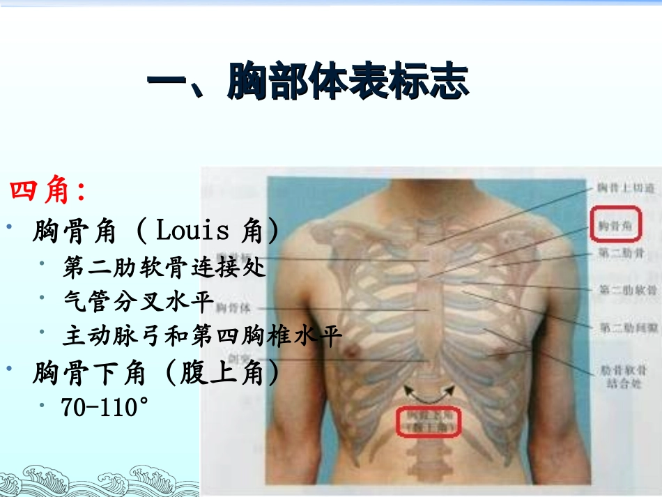胸部体格检查-整理版.ppt_第2页