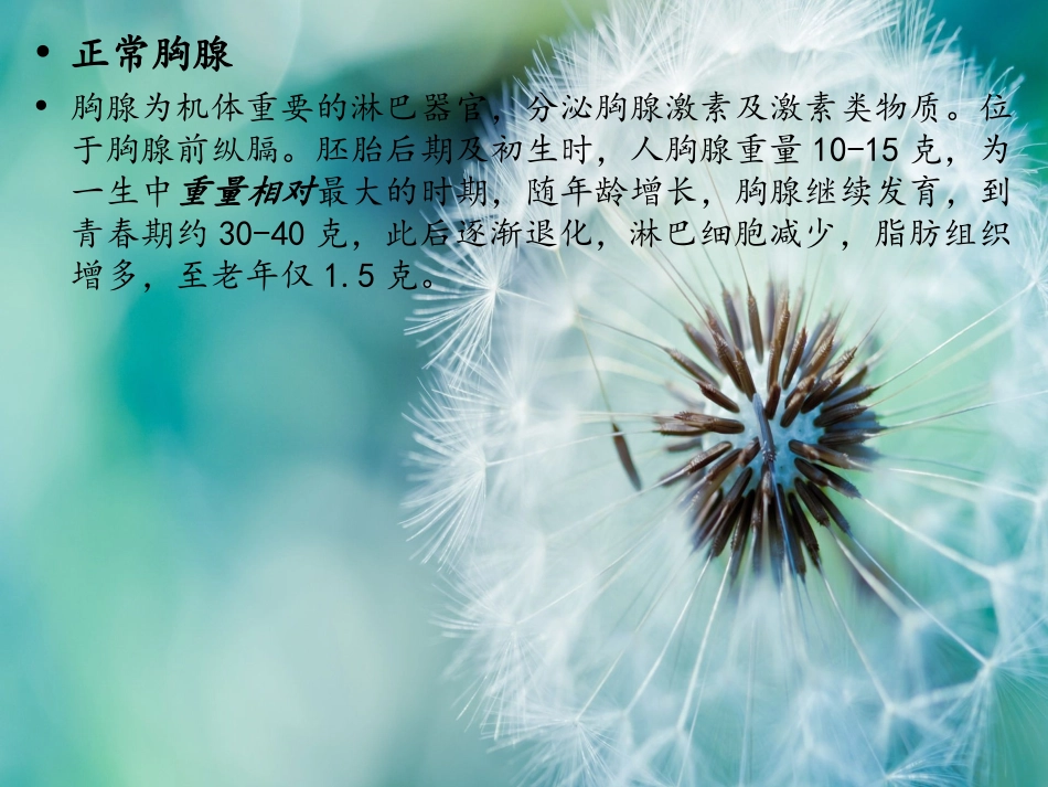 胸腺瘤ppt.ppt_第2页