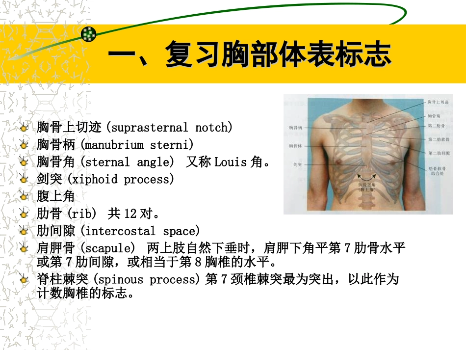 胸部体格检查.ppt_第1页