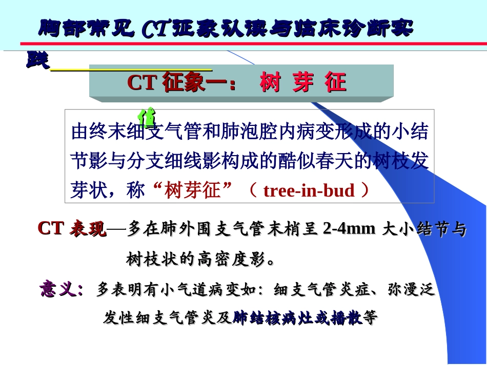 胸部常见CT征象.ppt_第3页