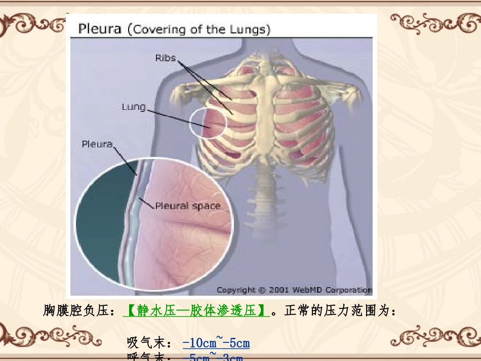 胸腔积液-气胸-脓肿-.ppt_第2页