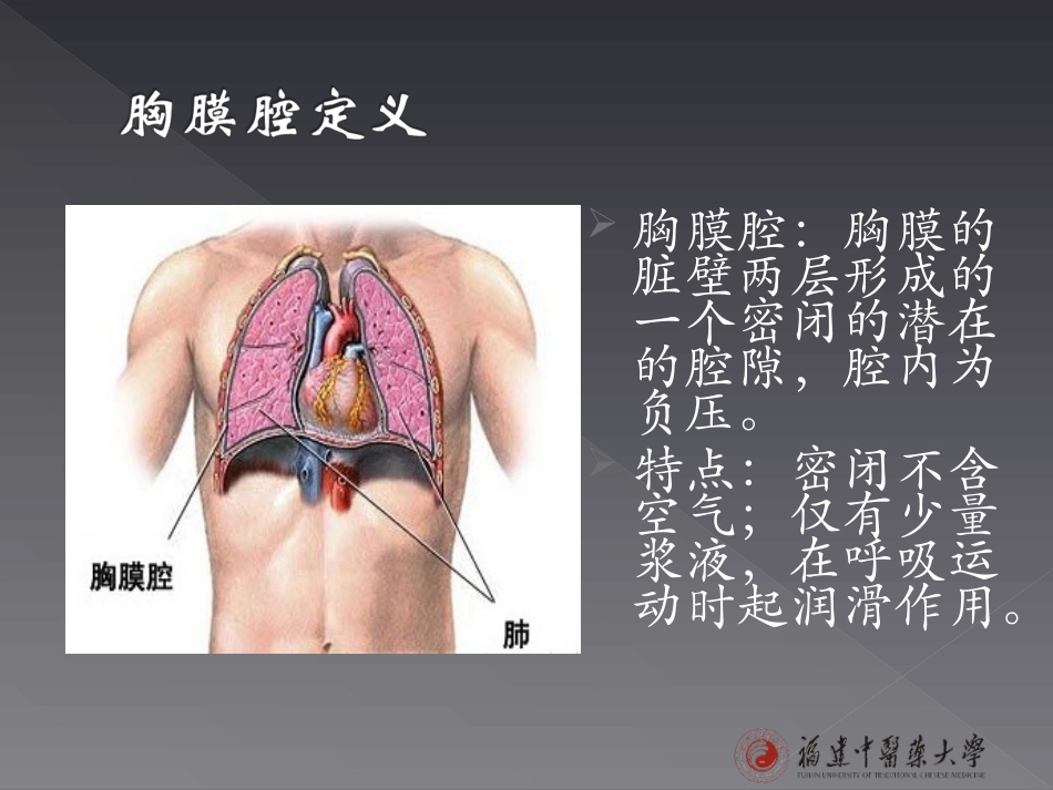 胸腹腔穿刺4.26资料.ppt_第3页