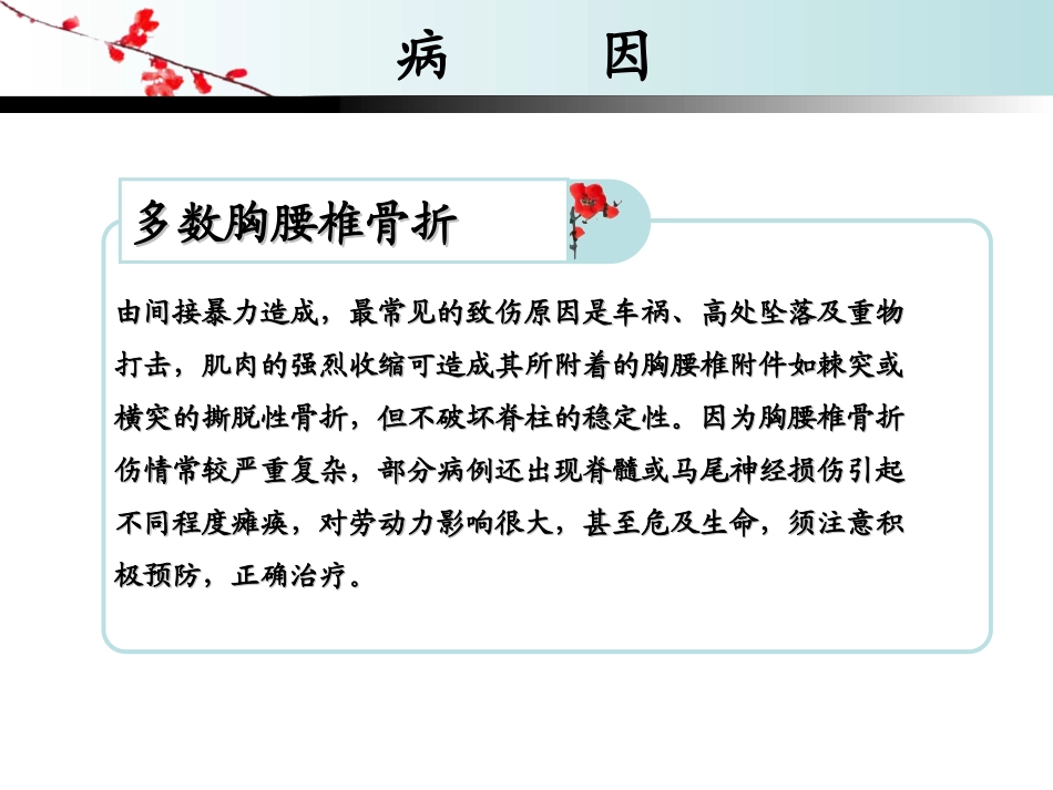 胸腰椎骨折...ppt_第2页