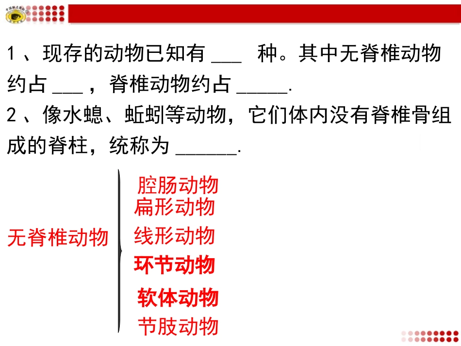 胸鳍腹鳍单鳍臀鳍尾鳍.ppt_第3页