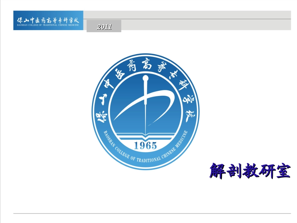 胸骨角胸骨体胸骨柄.ppt_第1页