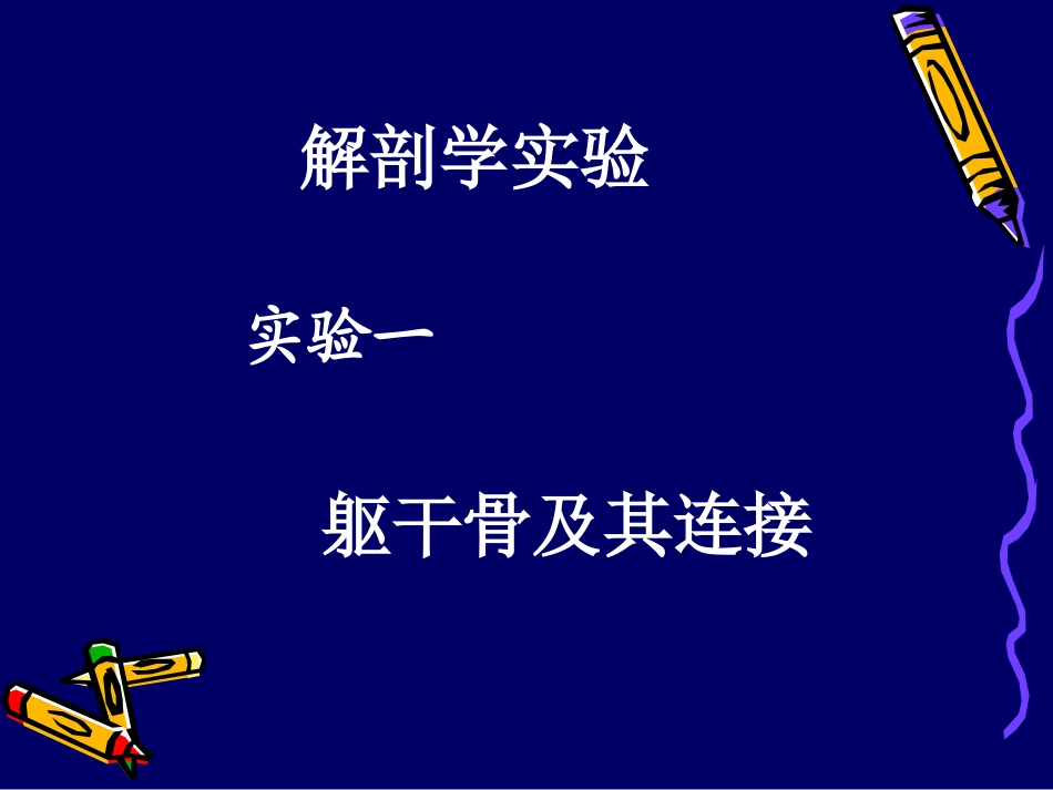 胸骨角胸骨体胸骨柄.ppt_第2页