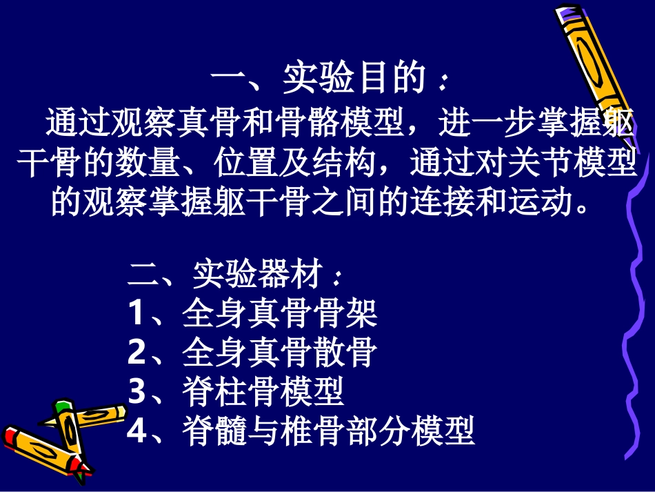 胸骨角胸骨体胸骨柄.ppt_第3页