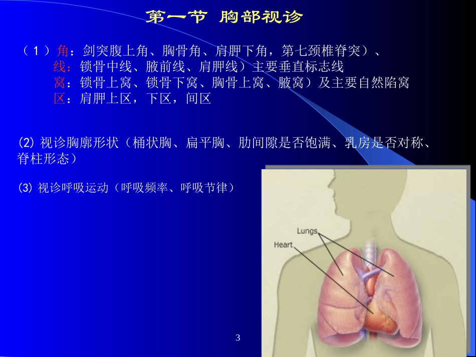 胸腹部体格检查.ppt_第3页
