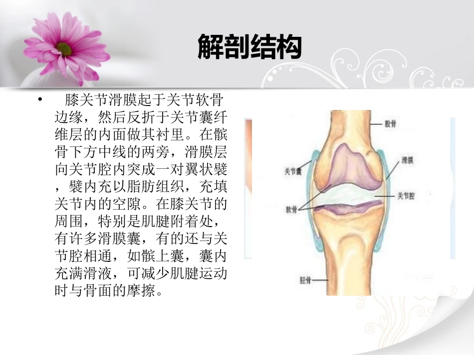 膝关节创伤性滑膜炎.ppt_第3页