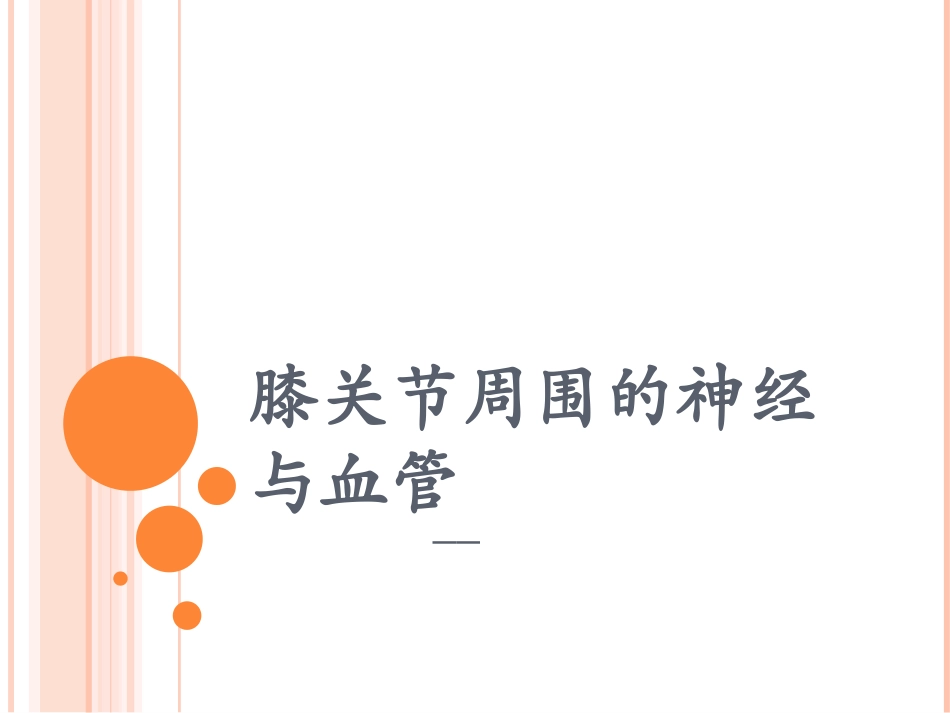 膝关节周围的血管与神经.ppt_第1页