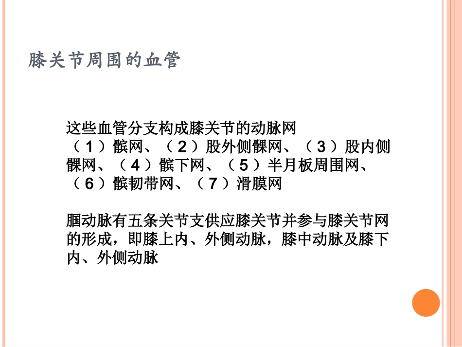 膝关节周围的血管与神经.ppt_第3页