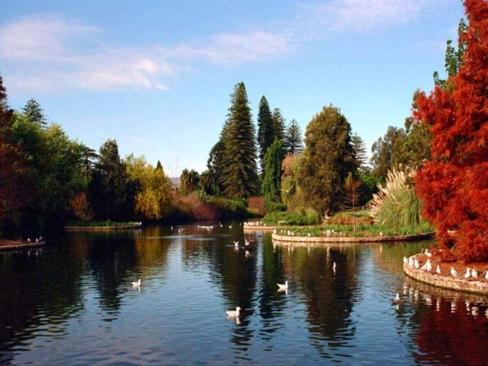 膝关节半月板损伤诊疗.ppt_第1页