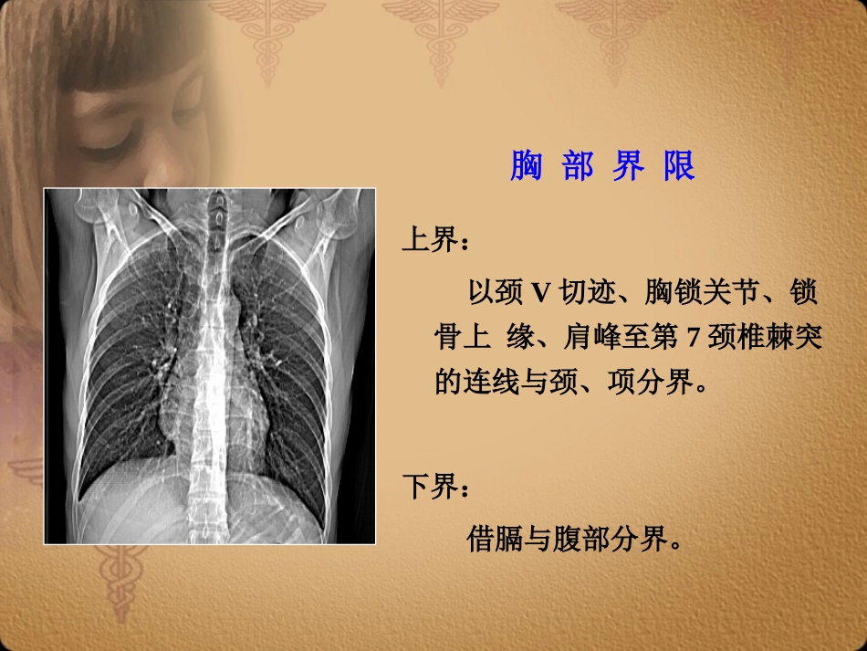 胸部正常CT-MRI.ppt_第3页