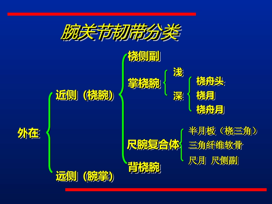 腕关节不稳的诊治.ppt_第2页