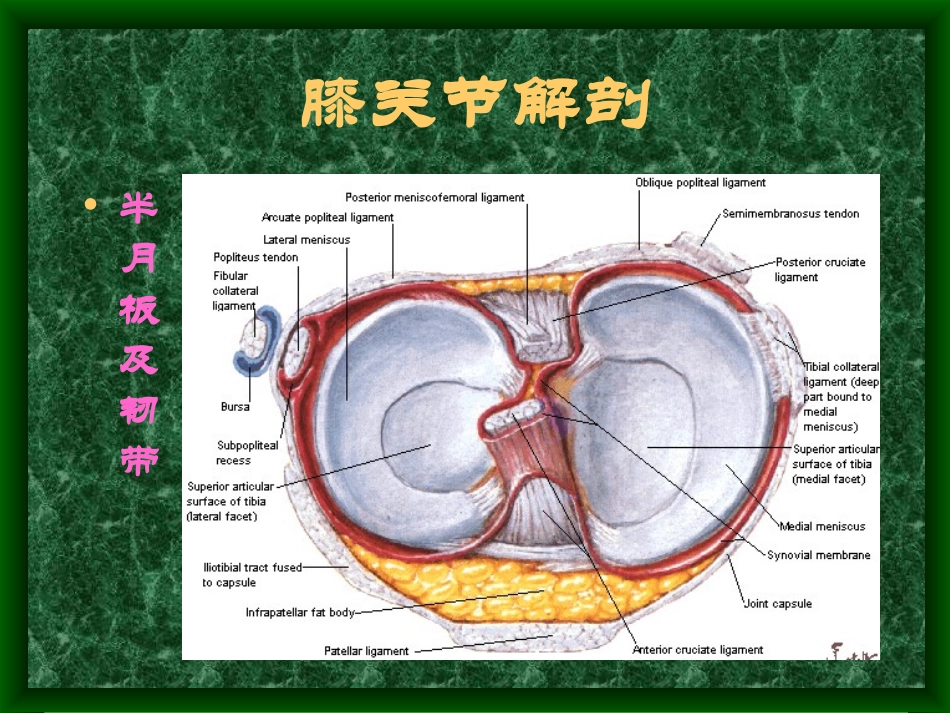 膝骨关节MRI.ppt_第3页