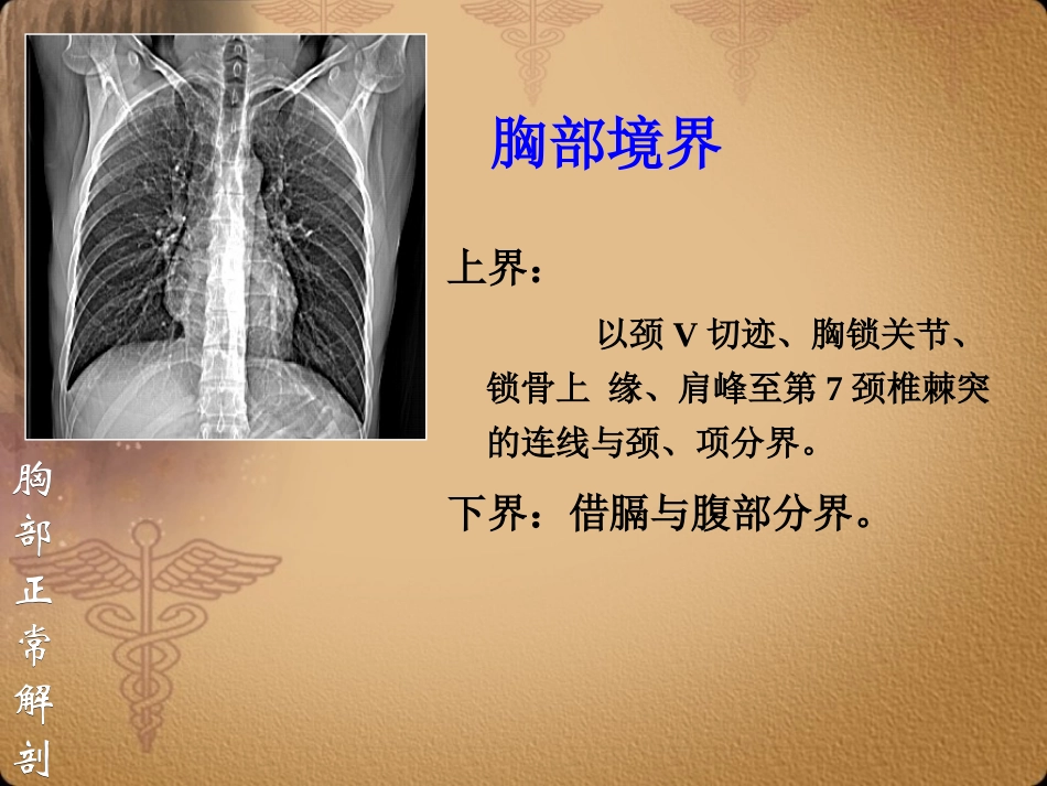 胸部正常CT-MRI原版挺好的.ppt_第3页