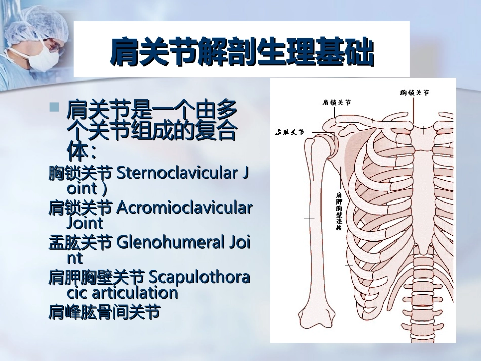 膝关节小腿运动创伤1.ppt_第3页