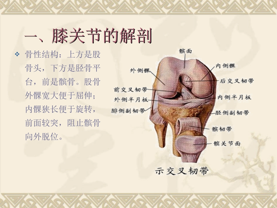 膝关节磁共振.ppt_第3页