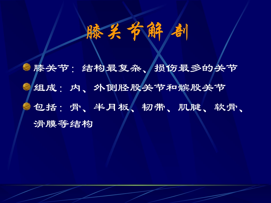 膝关节幻灯.ppt_第2页